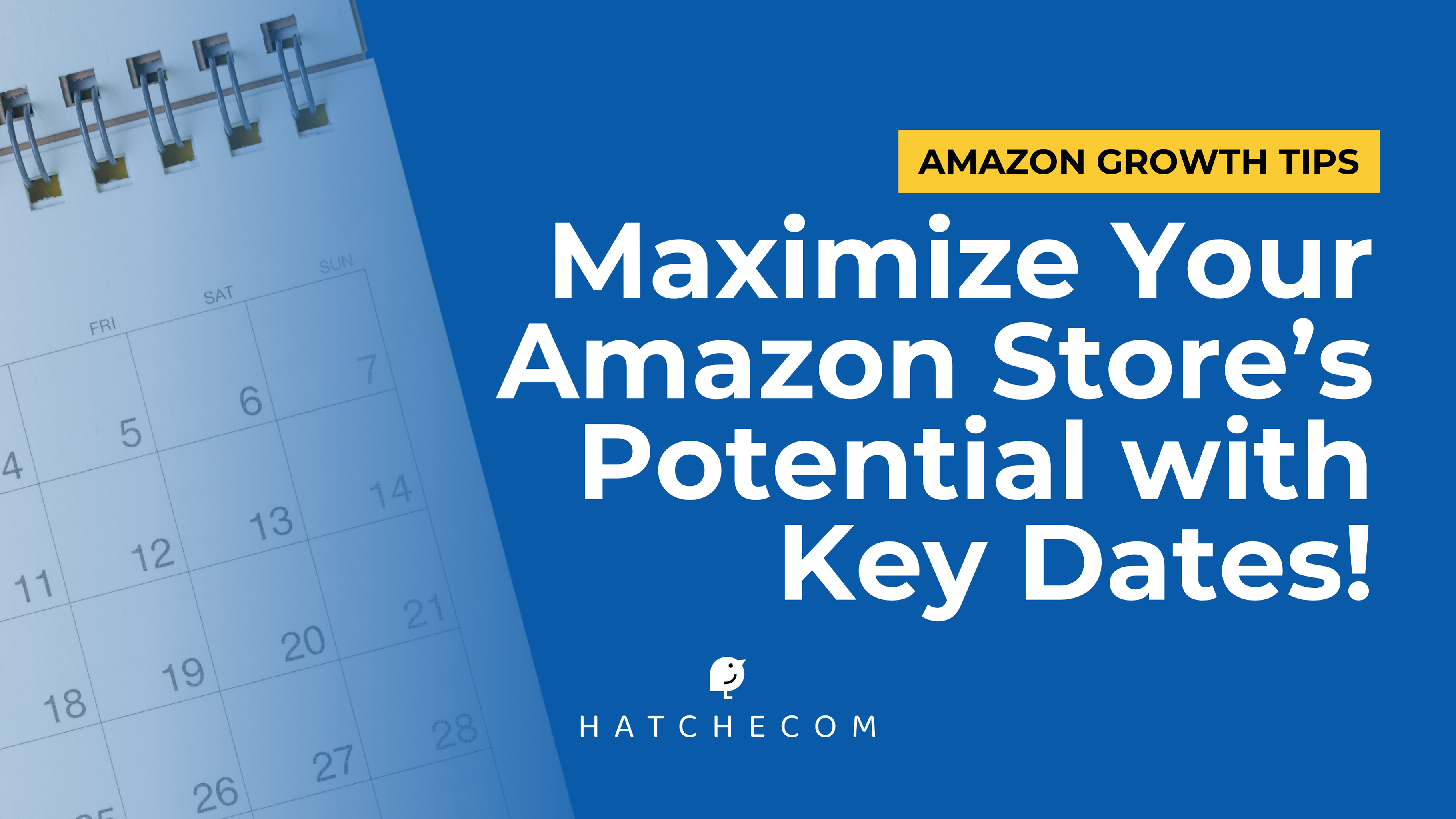 Maximize Your Amazon Store's Potential