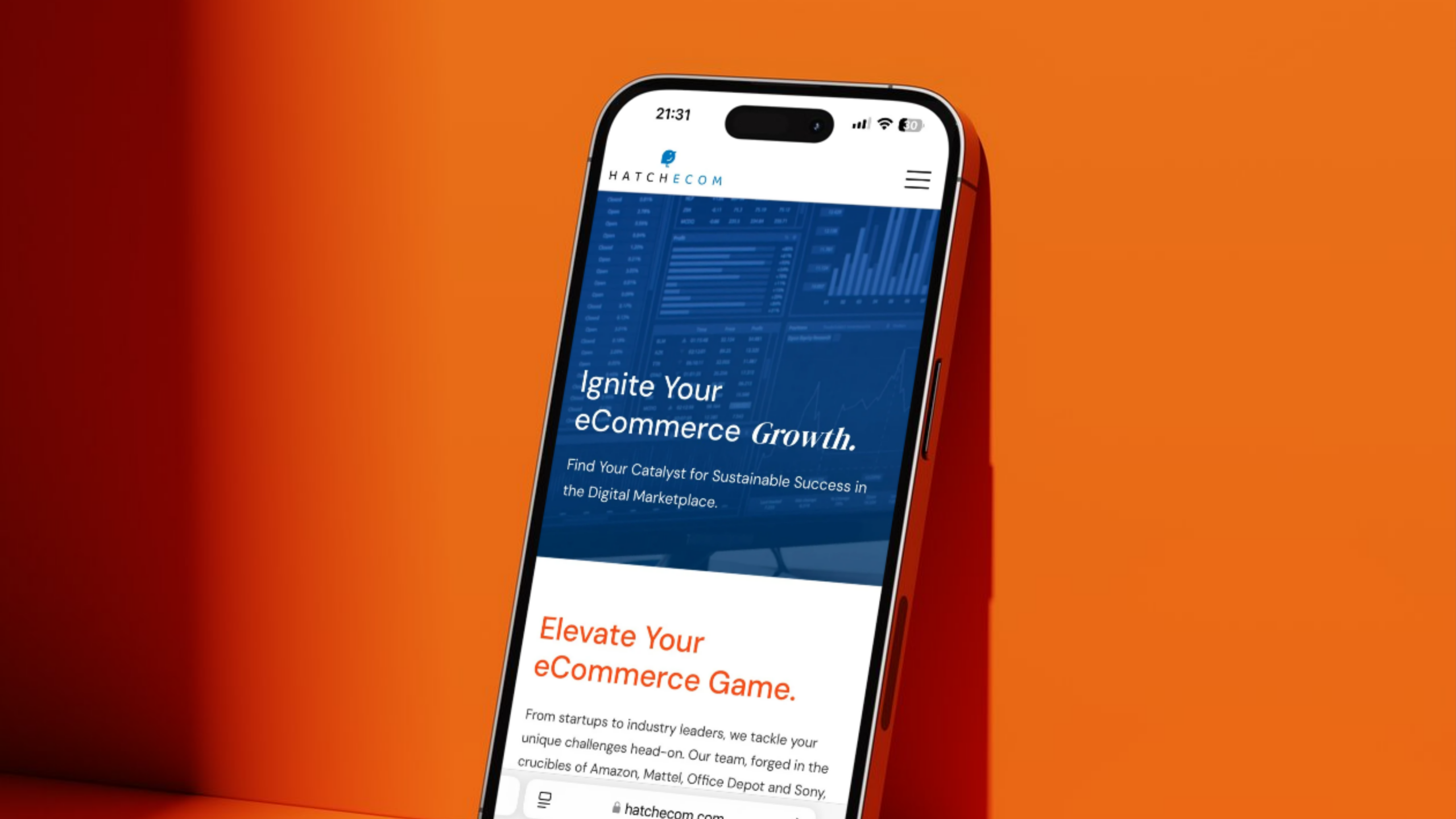 Case Study: The Making of HatchEcom’s New Website